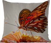 Sierkussen Buiten - Vlinder - Oranje - Bloem - Insecten - 60x60 cm - Weerbestendig