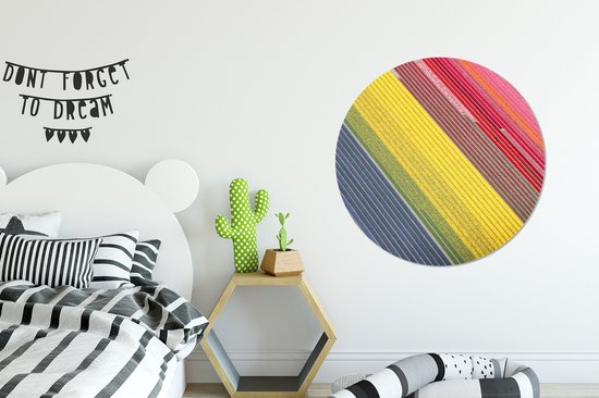 Image colorée de fleurs aux Nederland