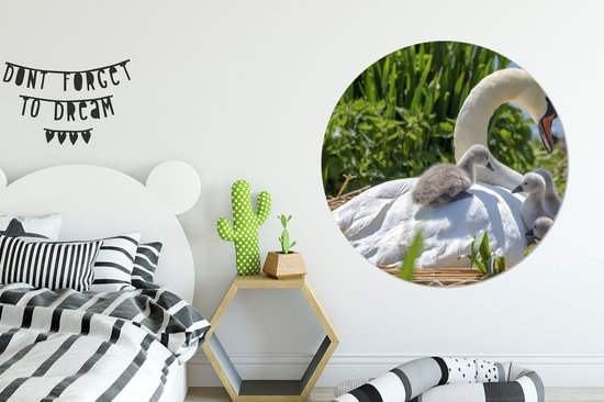 WallCircle - Cercle Mural - Cercle Mural - Cygne - Water - Source - Aluminium - Dibond - 140x140 cm - Intérieur et Extérieur