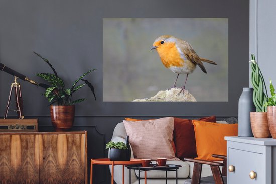 Sticker Muursticker Robin - Robin stone - 120x80 cm - film adhésif autocollant - sticker mural repositionnable