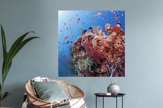 Sticker Muursticker Récif de corail - Corail rouge inocean - 100x100 cm - film adhésif autocollant - sticker mural repositionnable XXL /