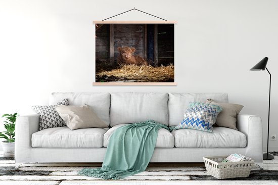 Jeune veau highlander écossais couché dans l'affiche de l'école de paille lattes plates vierges 150x113 cm - Tirage photo sur poster textielposter (décoration murale salon / chambre)