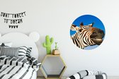 WallCircle - Wandcirkel - Muurcirkel - Zebra - Grappig - Kinderen - Kids - Jongens - Meisjes - Aluminium - Dibond - ⌀ 60 cm - Binnen en Buiten