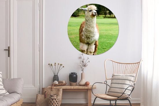 WallCircle - Wall Circle - Wall Circle Indoor - Alpaga - Wit - Marron - Arbre - 150x150 cm - Décoration murale - Peintures Ronds