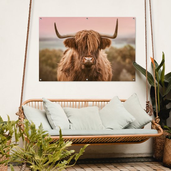 Un Highland coiffé de longues cornes courbées, accroché à un mur blanc au-dessus d'une balancelle en rotin.