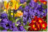 Affiche de jardin Printemps - Fleurs - Couleurs - 120x80 cm - Jardin