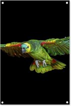 Tuinposters buiten Papegaai - Vogel - Veren - 60x90 cm - Tuindoek - Buitenposter