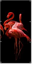Wanddecoratie buiten Flamingo's - Vogels - Veren - Zwart - 80x160 cm - Tuindoek - Buitenposter