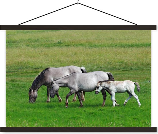 Affiche textielposter Chevaux Konik 120x80 cm