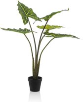 Emerald - Kunstplant Alocasia Frydek 80cm - Kunstplanten voor binnen
