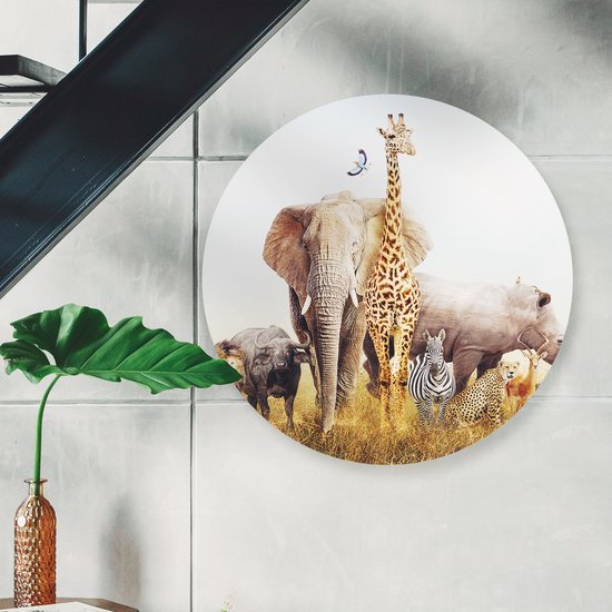 Artaza Cercle mural Forex Animaux africains sur l'herbe - Afrique - 40x40 cm - Klein - Cercle mural - Peinture ronde - Cercle de Décoration murale