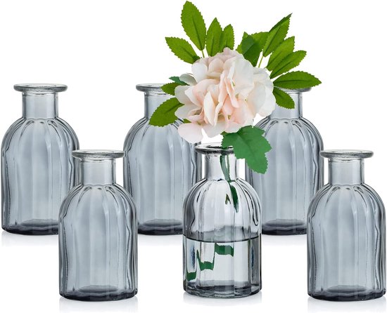 Kleine vazenset, glazen vaas, 6 stuks, mini-bloemenvaas, grijs, vintage, glas, rond, glazen vazen, flessenvaas, kleurrijk, klein geribbeld, tafelvaas, vazenset, glazen fles, decoratie voor