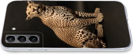 Coque Samsung Galaxy S21 - Léopard - Animaux - Tache - Siliconen