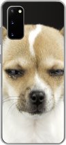Geschikt voor Samsung Galaxy S20 hoesje - Hond - Huisdieren - Portret - Siliconen Telefoonhoesje