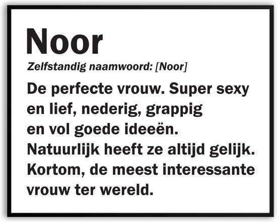 Noor Woordenboek Grappig Fotolijst met glas 50 x 70 cm - Cadeau - Kado
