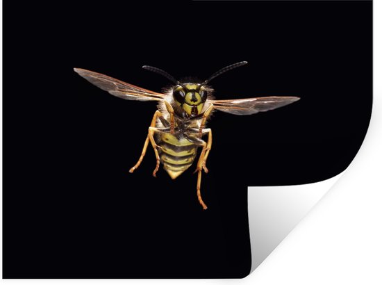 Wesp Sticker Muurstickers - Sticker Folie - Wesp - Insecten - Portret - 80x60 cm ...