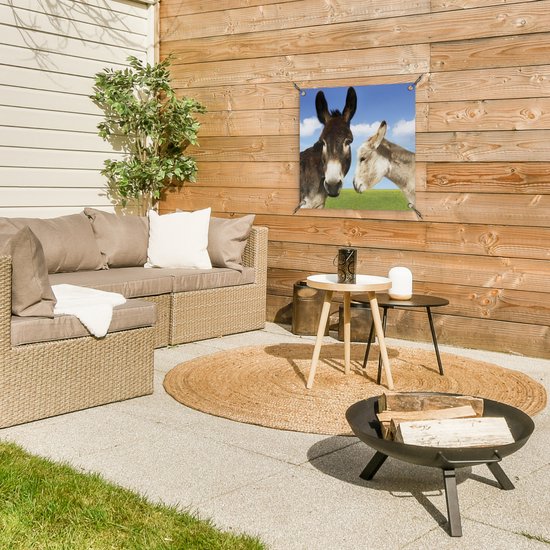 Tuinposters Ezels in het veld - 50x50 cm - Tuindoek - Buitenposter