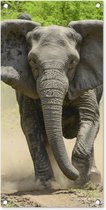 Tuinposter Rennende olifant - 40x80 cm - Wanddecoratie Buiten - Tuinposter - Tuindoek - Schuttingposter - Tuinschilderij
