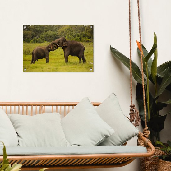 Décoration de jardin Deux éléphants combattants - 60x40 cm - Poster jardin - Toile jardin - Poster extérieur