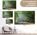 Product afbeelding  10