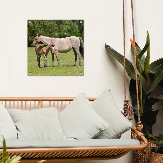 Posters de jardin Paarden - Herbe - Ombre - 50x50 cm - Toile de jardin - Affiche extérieure