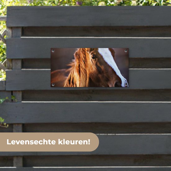 Poster de jardin Cheval - Léger - Fourrure - 60x30 cm - Toile de jardin - Poster extérieur