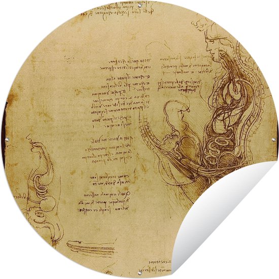 Tuincirkel De menselijke voortplanting - Leonardo da Vinci - 150x150 cm - Ronde Tuinposter - Buiten