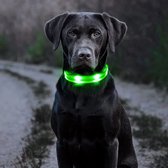 Luxe Lichtgevende Honden Halsband / Hondenriem | Halsband Voor Dieren | Glow In The Dark | Flashing Collar | One Size - Groen