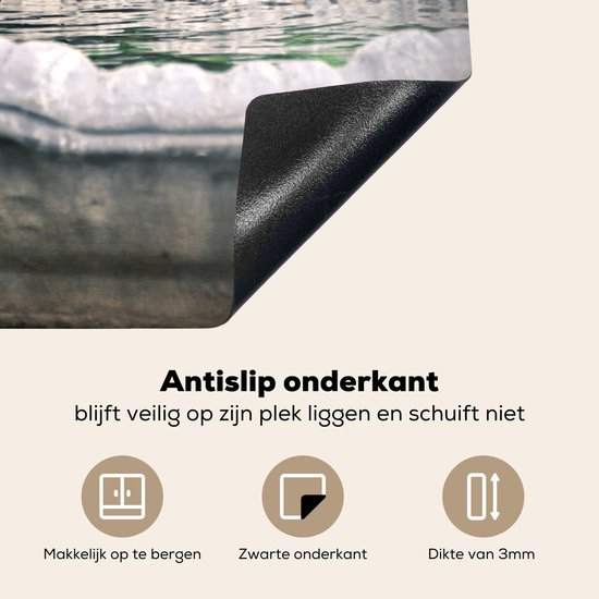 KitchenYeah® Inductie beschermer 76x51.5 cm - Vogel - Water - Fontein - Kookplaataccessoires - Afdekplaat voor kookplaat - Inductiebeschermer - Inductiemat - Inductieplaat mat