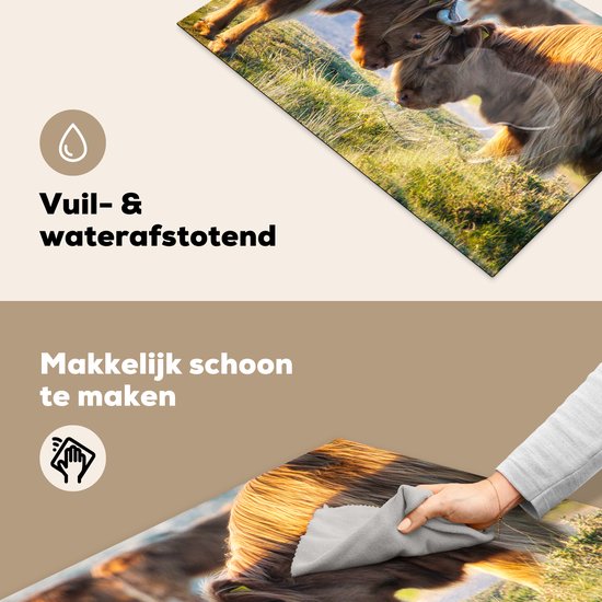 KitchenYeah® Inductie beschermer 78x52 cm - Schotse Hooglanders - Dieren - Zon - Kookplaataccessoires - Afdekplaat voor kookplaat - Inductiebeschermer - Inductiemat - Inductieplaat mat