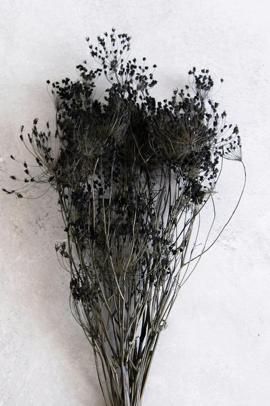 Couronne - Bundeltje gedroogde bloemen 'Fennel' (Black)
