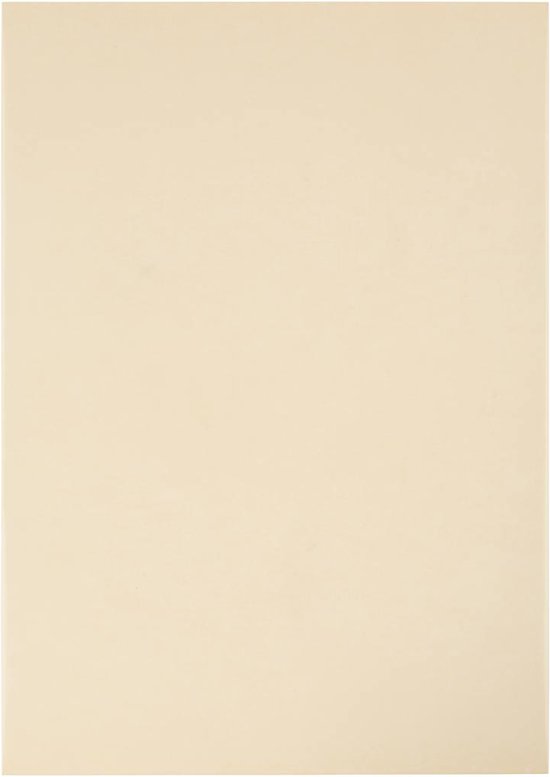 Carton Coloré Beige Clair A4 - 210x297 Mm - Grammage 180 G - Lot De 100 Feuilles