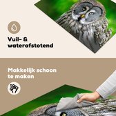 KitchenYeah® Inductie beschermer 77x51 cm - Vogel - Uil - Dieren - Bruin - Portret - Kookplaataccessoires - Afdekplaat voor kookplaat - Inductiebeschermer - Inductiemat - Inductieplaat mat