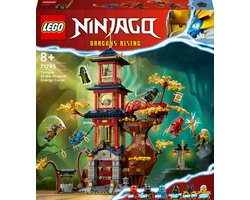 foto van LEGO NINJAGO Tempel van de drakenenergiekernen Dragon Rise Set - 71795