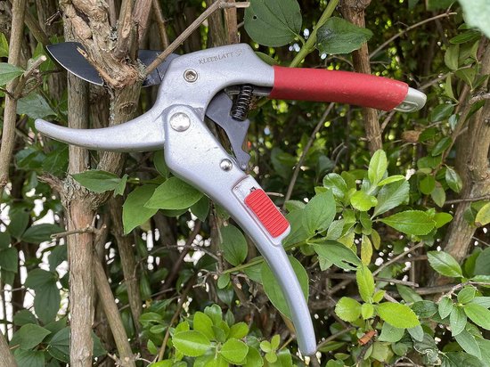 snoeischaar tot 60% krachtbesparing boomschaar rozenschaar takkenschaar snijdt tot 26 mm diameter ergonomische greep voor rechtshandigen en linkshandigen fruitboomschaar rolschaar — afbeelding 3