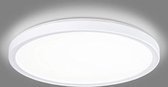 Badkamerlamp Plafond - Plafoniere Badkamer - 293mm