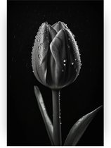 Tulp in de regen - Bloemen schilderij - Schilderij tulp - Wanddecoratie modern - Canvas schilderij woonkamer - Muurdecoratie - 40 x 60 cm 18mm