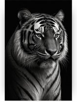 Tijger - Zwart wit schilderij - Schilderij op canvas tijger - Schilderijen op canvas industrieel - Canvas schilderij - Kantoor accessoires - 50 x 70 cm 18mm