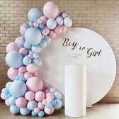 Dubbel Feest: Blauw & Roze (Babyshower / Gender reveal) Ballonnenboog