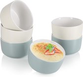 6 x Ragout-schalen, ovenvaste vormen in grijs en beige, crème brulee-schalen, dessertschaal, elk 320 ml, vaatwasmachinebestendig (verpakking van 06, 320 ml, grijs/beige)