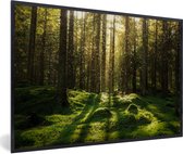 Cadre photo avec affiche - Arbres - Forêt - Mousse - Plantes - Soleil - Nature - 60x40 cm - Cadre pour affiche