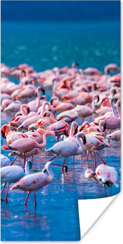 PosterMonkey - Poster - Fotolijst - Dieren - Flamingo - Zwart - Wit - Grijs - Kader - 40x80 cm - Slaapkamer - Poster lijst - Frame poster - Poster flamingo - Poster met frame