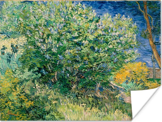 Poster De struiken bij Arles - Vincent van Gogh - 120x90 cm