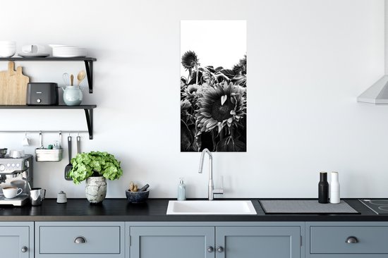 Affiche Tournesols aux Nederland noir et blanc - 40x80 cm