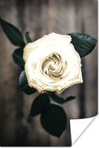 Witte bloem tegen grijze achtergrond 60x90 cm / Bloemen Poster