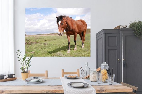 Poster Cheval se dresse dans l'herbe 180x120 cm - Tirage photo sur Poster (décoration murale salon / chambre) / Poster Animaux XXL / Groot format!