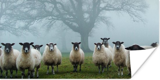 Affiche Mouton - Arbre - Brouillard - 40x20 cm