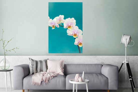 Affiche Orchidée - Fleurs - Plante - Wit - Violet - 80x120 cm