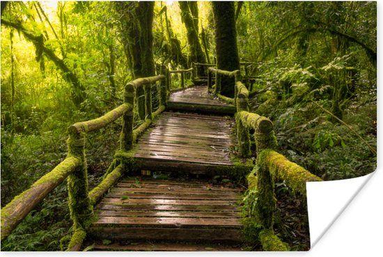 Affiche Belle forêt tropicale et jungle 120x80 cm - Tirage photo sur Poster (décoration murale salon / chambre)