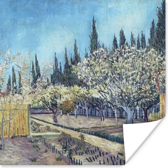 Poster Boomgaard tegen cipressen - Vincent van Gogh - 100x100 cm XXL